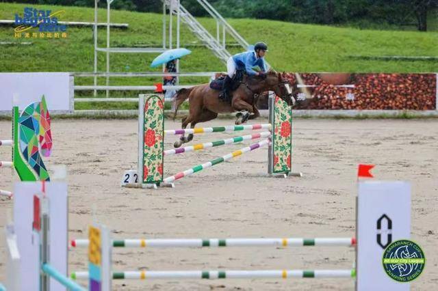 赛事共设有, 公益 赛事共设有, 公益